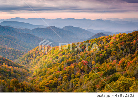 Great Smoky Mountains National Park 43952202