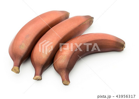 レッドバナナ: Red banana レッドバナナ: Red banana 43956317