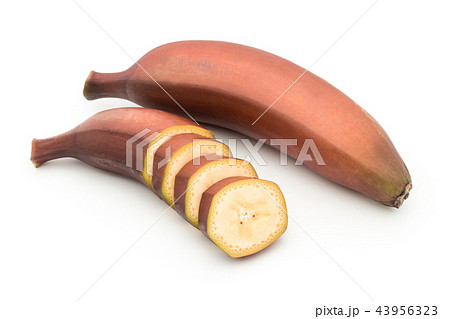 レッドバナナ Red Bananaの写真素材