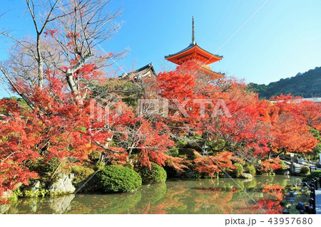 京都・清水寺 京都・清水寺 43957680