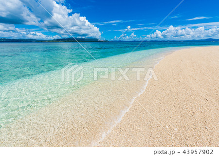 沖縄　水納島のビーチ 43957902