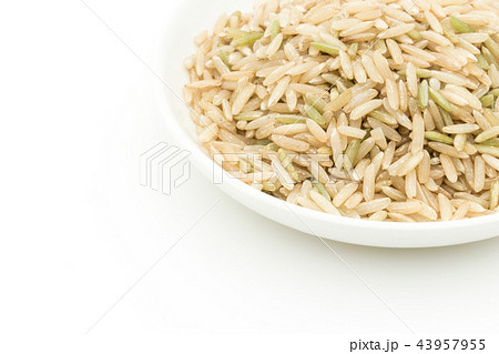 カリフォルニア・ブラウン・バスマティ・ライス:California brown Basmati カリフォルニア・ブラウン・バスマティ・ライス:California brown Basmati 43957955