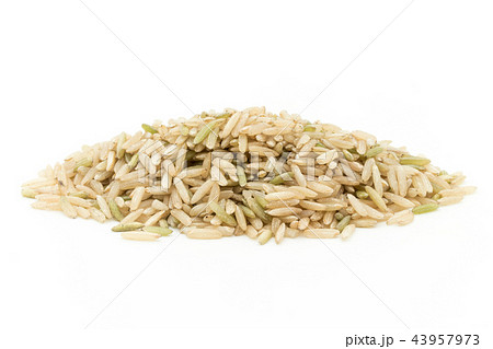 カリフォルニア・ブラウン・バスマティ・ライス:California brown Basmati カリフォルニア・ブラウン・バスマティ・ライス:California brown Basmati 43957973