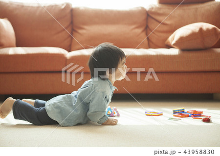はいはいする男の子 はいはいする男の子 43958830