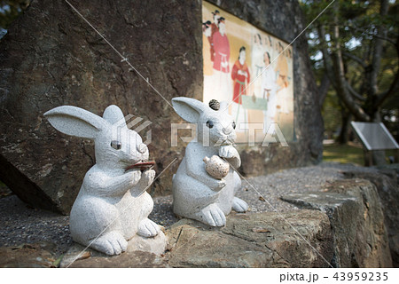 出雲大社 43959235