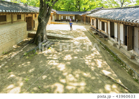 建築 季節 古建築 43960633
