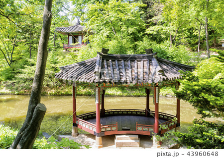 建築 季節 古建築 43960648
