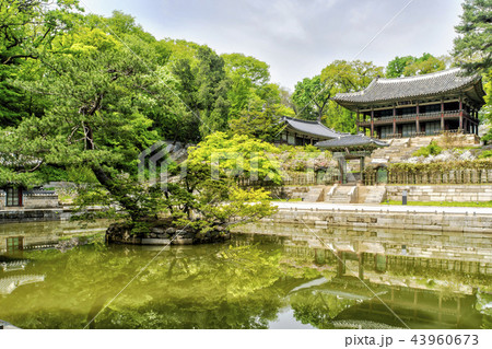故宮 芙蓉池 オスムン 43960673