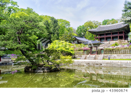故宮 芙蓉池 オスムン 43960674