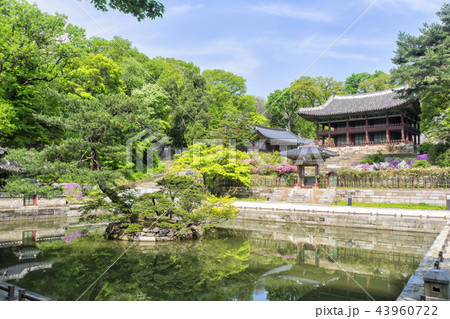 故宮 芙蓉池 オスムン 43960722