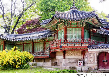 建築 古建築 宮殿 43960724