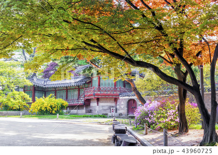 建築 古建築 宮殿 43960725
