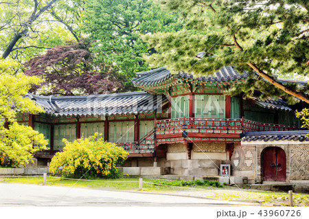 建築 古建築 宮殿 43960726