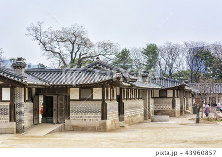 建築 古建築 宮殿 43960857