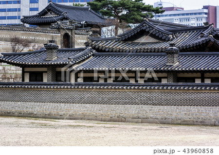 建築 古建築 宮殿 43960858