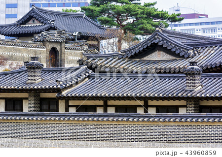 建築 古建築 宮殿 43960859