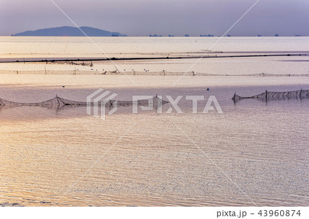 京畿道 キョンギド ネット 43960874