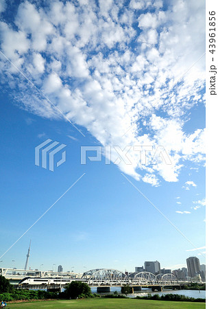 うろこ雲とスカイツリーと鉄橋を渡る京成スカイライナー 43961856