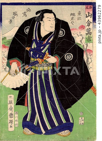 浮世絵 歌川国輝 相撲 力士 山分萬吉のイラスト素材 [43962279] - PIXTA