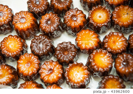 台湾 コーヒー 珈琲 43962600