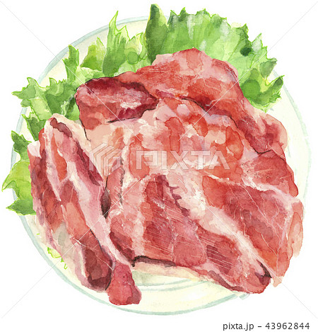 生肉 レタス 皿のイラスト素材