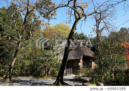 落柿舎(京都・嵯峨野) 落柿舎(京都・嵯峨野) 43963160