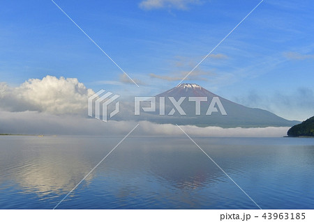 霧の山中湖と逆さ富士 霧の山中湖と逆さ富士 43963185