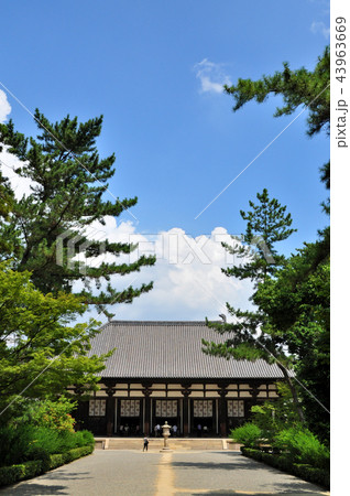 【世界遺産】唐招提寺の金堂：奈良 43963669