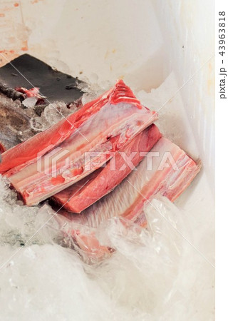 マグロの解体ショー  sdgs フードロス 食糧危機  阿久根市 鹿児島県 マグロの解体ショー  sdgs フードロス 食糧危機  阿久根市 鹿児島県 43963818