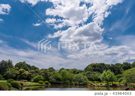 Shinjuku Gyo-en, Japan 43964003