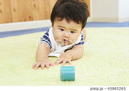 0歳保育 0歳保育 43965263
