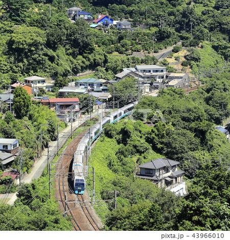 スーパービュー踊り子号 43966010