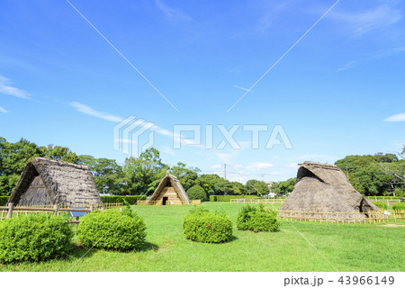 蜆塚遺跡の風景と復元家屋群(静岡県浜松市) 蜆塚遺跡の風景と復元家屋群(静岡県浜松市) 43966149