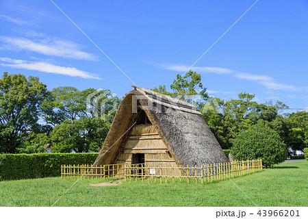 蜆塚遺跡にある復元家屋（静岡県浜松市） 43966201
