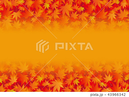 背景素材_紅葉 43966342