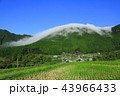 風伝おろし 43966433