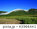風伝おろし 43966441