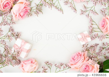 fresh rose flowers 43966608