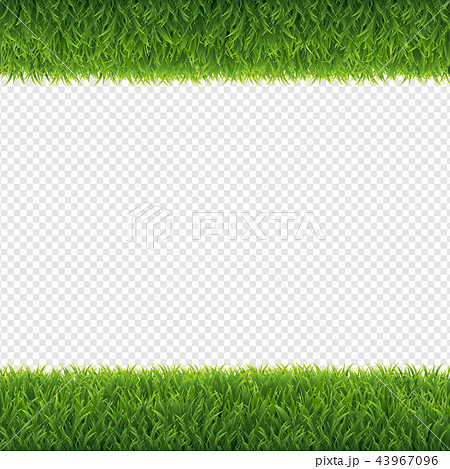 Green Grass Borders Transparent Background 43967096