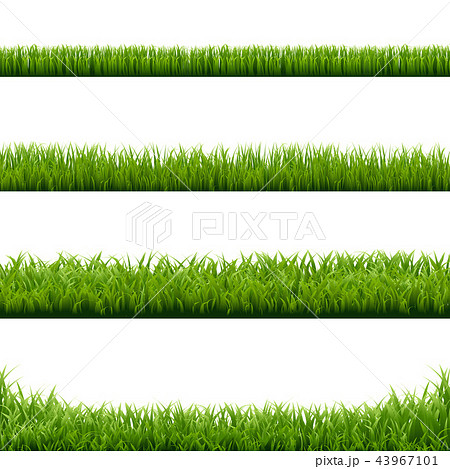 Big Set Green Grass Borders 43967101