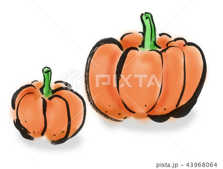 西洋かぼちゃのイラスト素材