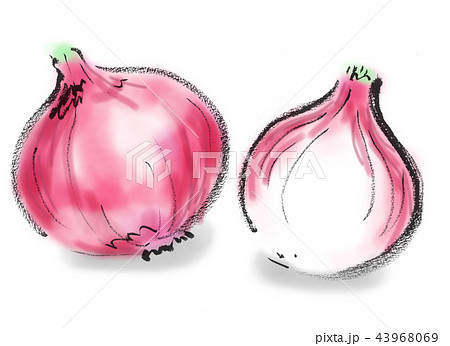 赤玉ねぎ 43968069