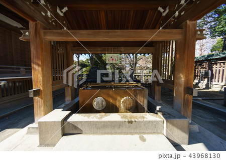牛嶋神社 牛嶋神社 43968130
