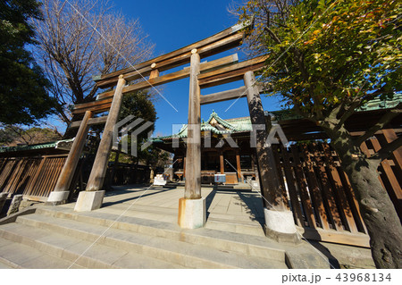 牛嶋神社 牛嶋神社 43968134