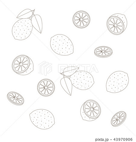 レモンのパターン 線画のイラスト素材 43970906 Pixta