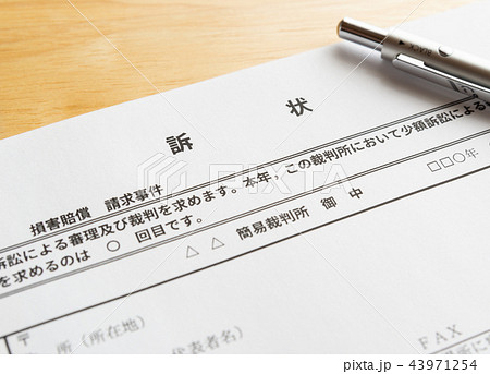 訴状　少額訴訟　簡易裁判所　損害賠償　物損交通事故　金銭支払請求 43971254