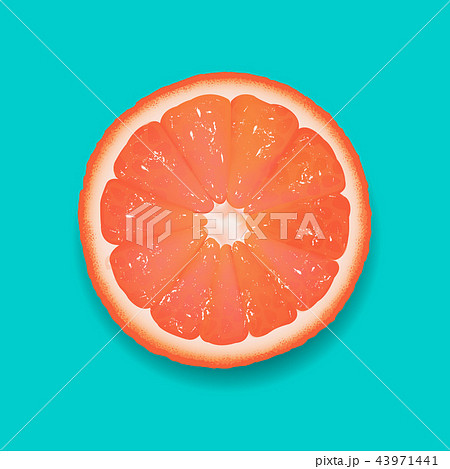 Grapefruit Segment Mint Background 43971441
