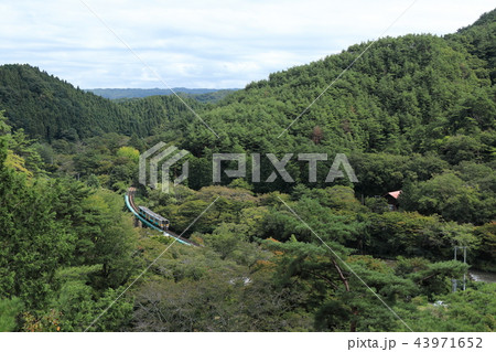 矢祭山公園から俯瞰する水郡線の列車 43971652