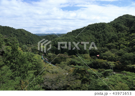 矢祭山公園から俯瞰する水郡線の列車 43971653
