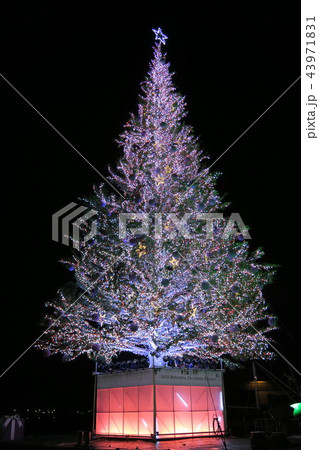 クリスマスツリー 43971831